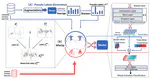 Wearable-based behaviour interpolation for semi-supervised human activity recognition